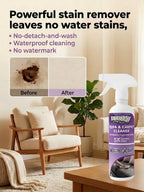 Sofa and Carpet Cleaner