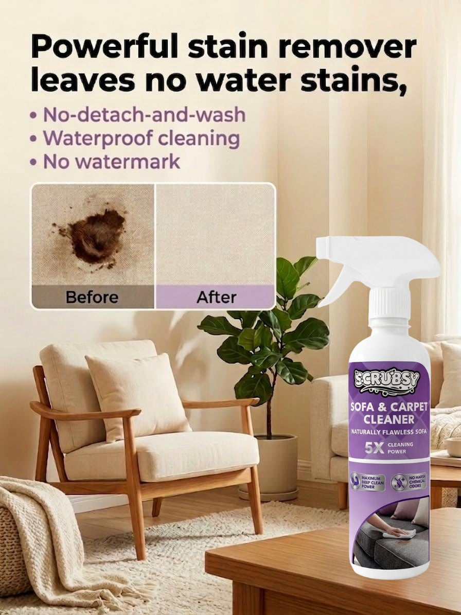 Sofa and Carpet Cleaner