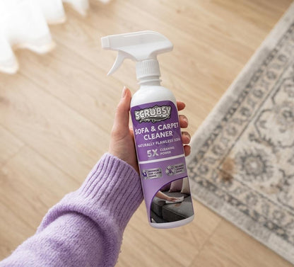 Sofa and Carpet Cleaner
